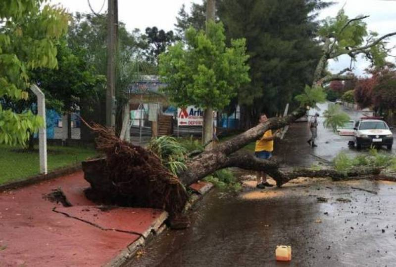 Chuva inesperada e vento forte atingem região da grande Santa Rosa