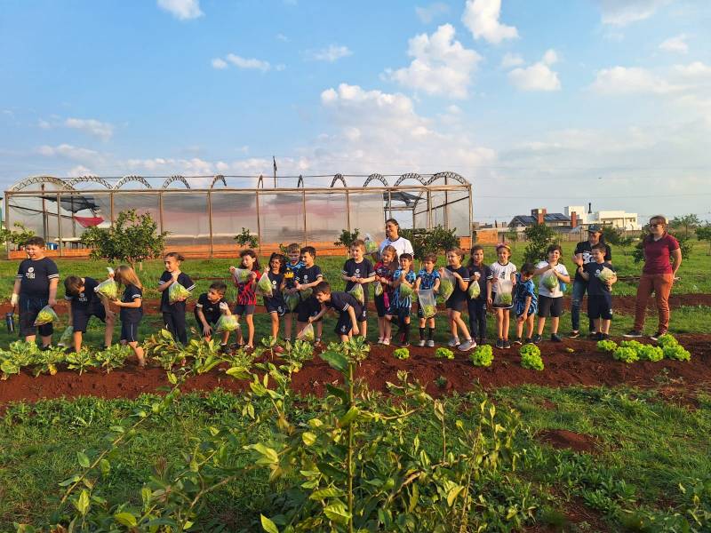 Colheita de vegetais marca o sucesso do projeto sustentabilidade e segurança alimentar na escola da URI