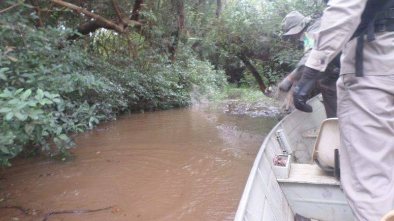 Período da piracema determina restrições na pesca até 31 de janeiro