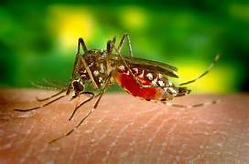 RS tem primeira morte por dengue em 2024