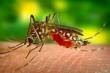 Tenente Portela chega a 1.392 casos positivos de dengue