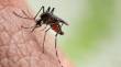 Rio Grande do Sul registra quinta morte por dengue em 2024