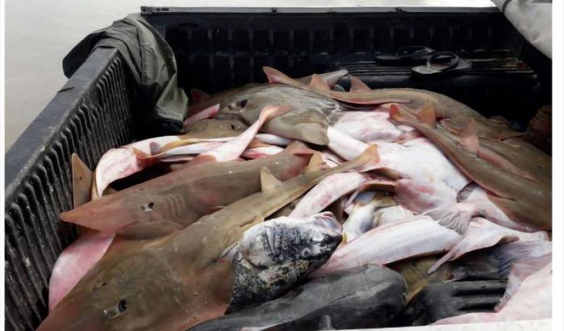 Pescador é condenado a pagar R$ 100 mil por danos ambientais no litoral do Rio Grande do Sul