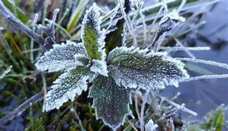 Inverno começa na sexta-feira; saiba o que esperar da nova estação