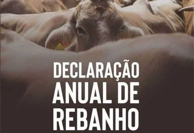 Prazo para Declaração Anual do Rebanho termina em 31 de julho