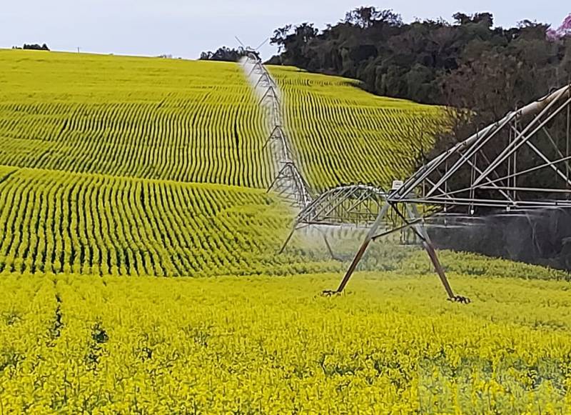 Rio Grande do Sul terá domingo de sol e temperatura agradável