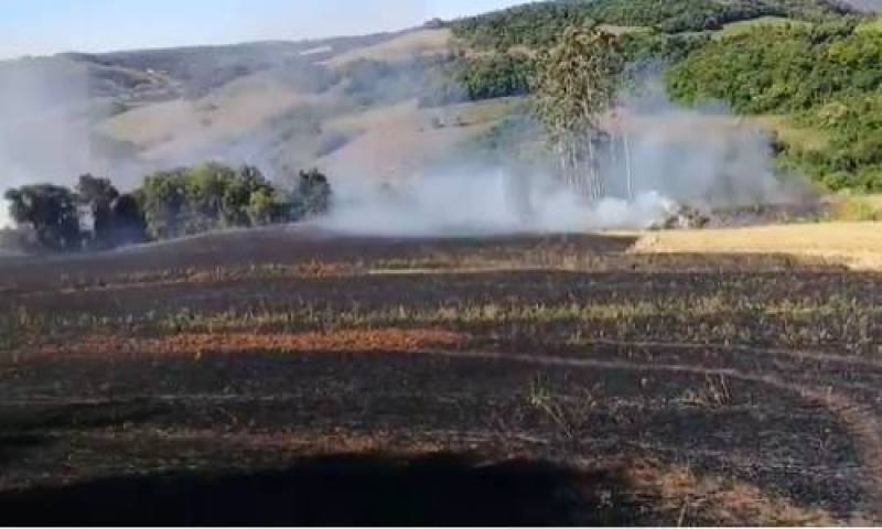 Incêndio atingiu vegetação e lavoura recém-colhida em Alto Crissiumal