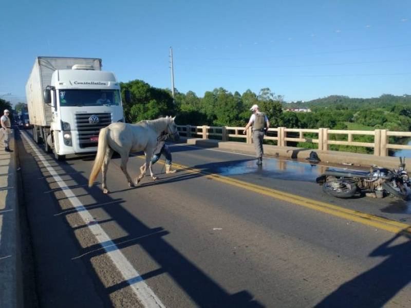 Cavalo solto, tracionando charrete, provoca acidente com ferido grave na ERS 130