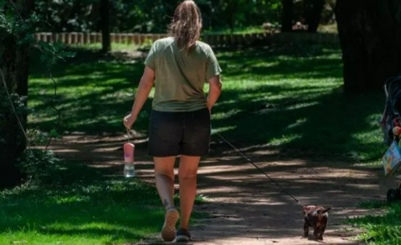 Com 43,8ºC em Quaraí, RS tem recorde de calor em 115 anos