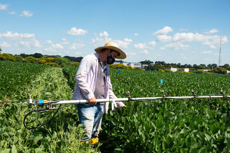 Pesquisa da URI será referência para o cultivo de soja