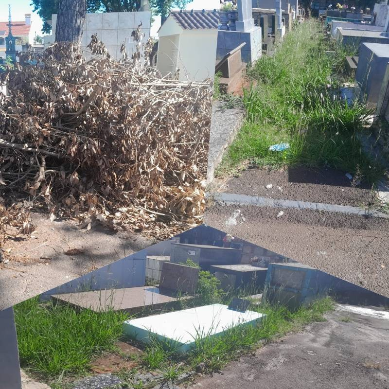  Cemitério Sagrada Família apresenta abandono e mato alto, denuncia morador de Santo Ângelo