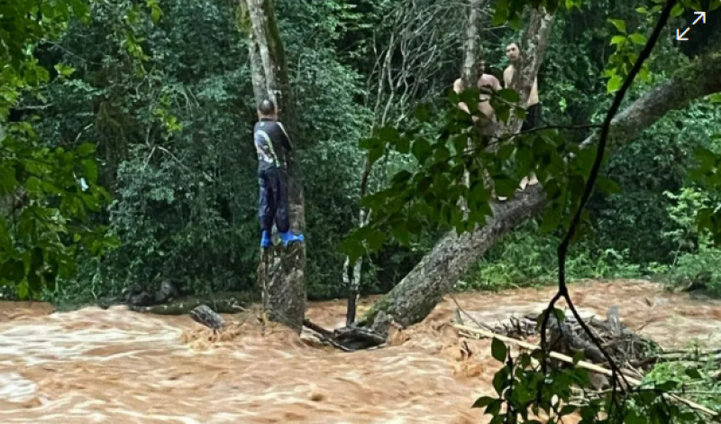 Pescadores ficam ilhados em cima de árvore após rio transbordar em Seberi