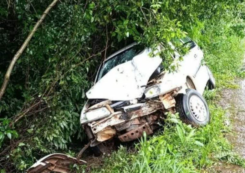 Veículo sai da pista e colide contra árvores na BR-392