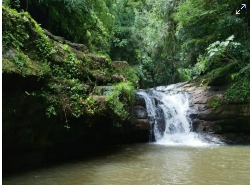 Adolescente de 16 anos morre vítima de afogamento em Frederico Westphalen