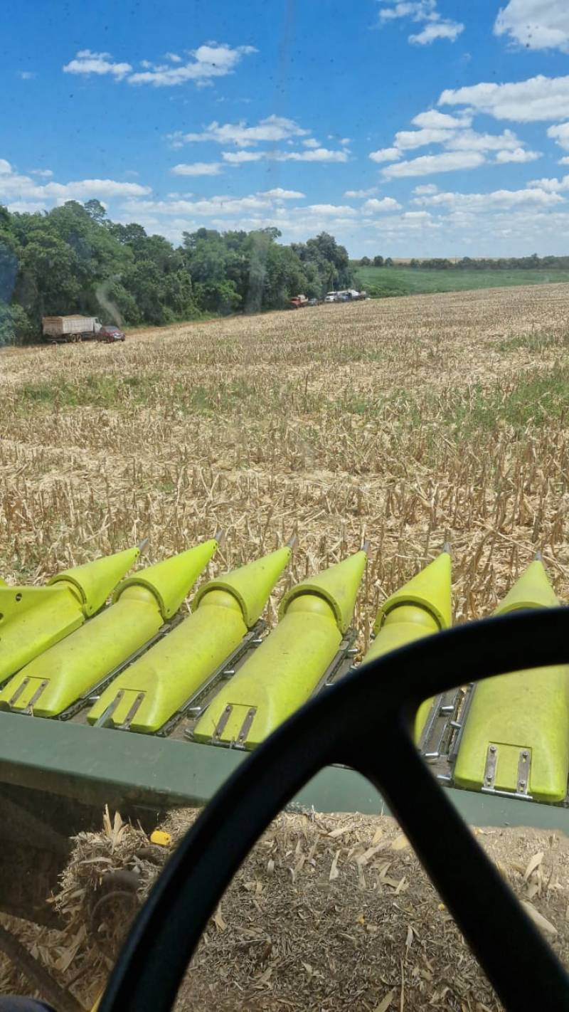 Sol e calor predominam em todo o RS neste sábado