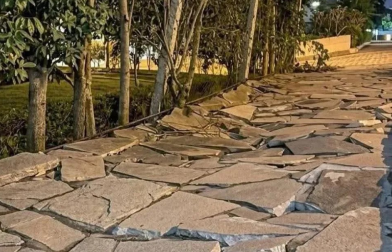 Infestação de ratos destrói calçada e apavora moradores em Bento Gonçalves 