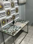 Grande operação da Brigada Militar resulta em prisão e grande apreensão de drogas em Ijuí