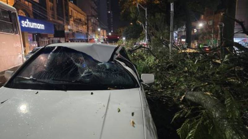 Temporal derruba árvores, atinge carro e deixa homem ferido em Passo Fundo