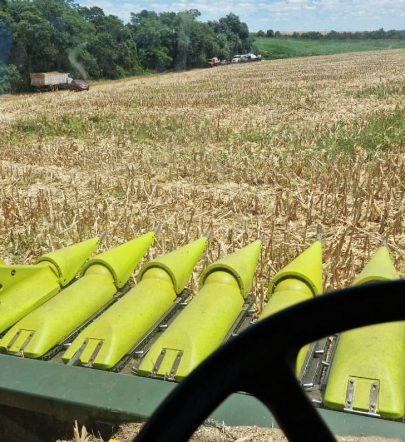 Calor diminui, mas RS segue com temperaturas altas nesta segunda-feira
