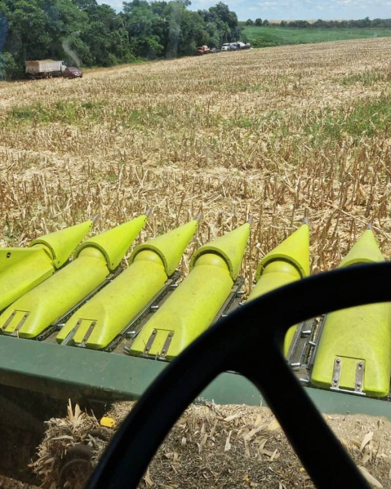 Feriado de Sexta-Feira Santa será de tempo firme e calor no RS