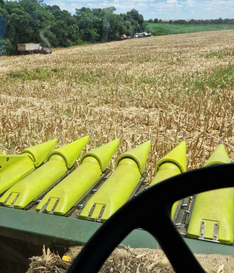 Sexta-feira será de tempo firme e sol após a passagem do ciclone no RS