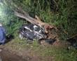 Casal de jovens morre após colidir veículo com árvore na ERS-130 em Lajeado