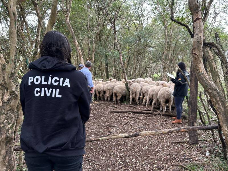 Policia Civil inicia trabalhos da