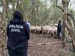 Policia Civil inicia trabalhos da 
