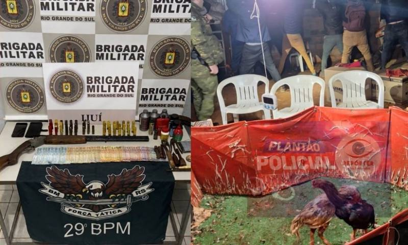Rinha de galos é flagrada no interior de Ijuí e Polícia Civil vai instaurar inquérito para apurar crime de maus-tratos