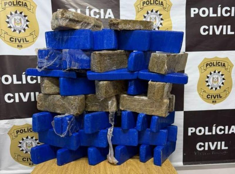 Polícia Civil localiza cerca de 50 quilos de maconha em área de mata em Três de Maio
