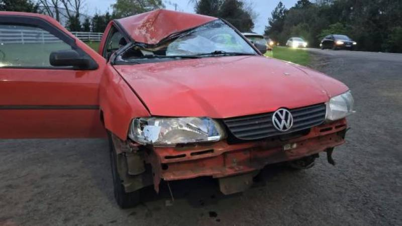 Cavalo morre após ser atingido por carro na ERS-324, em Passo Fundo