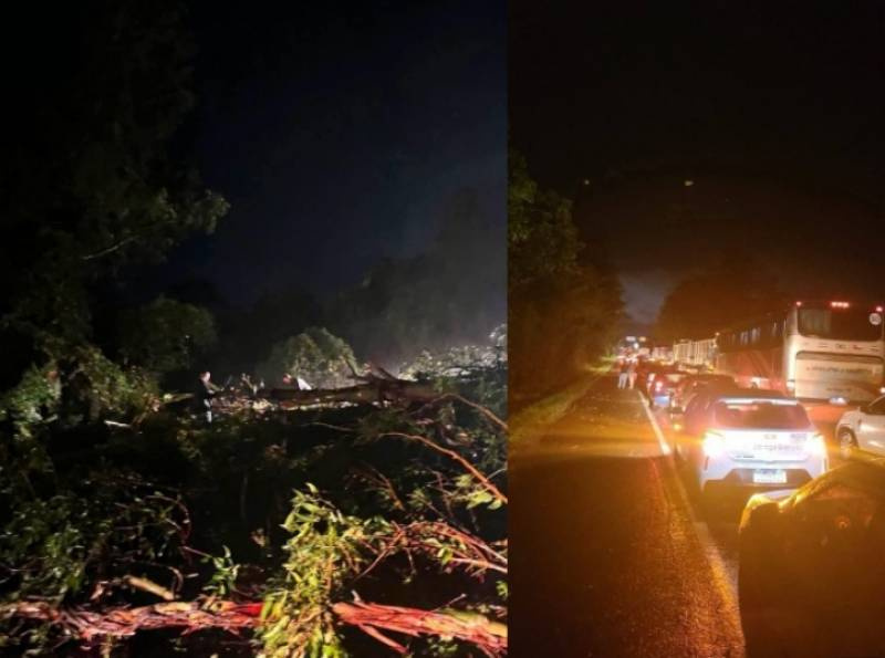 Quedas de árvores bloqueiam a BR-392 em diversos pontos entre São Sepé e Santa Maria após temporal