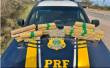 Polícia prende passageira de ônibus com mais de 20 quilos de maconha em Bagé