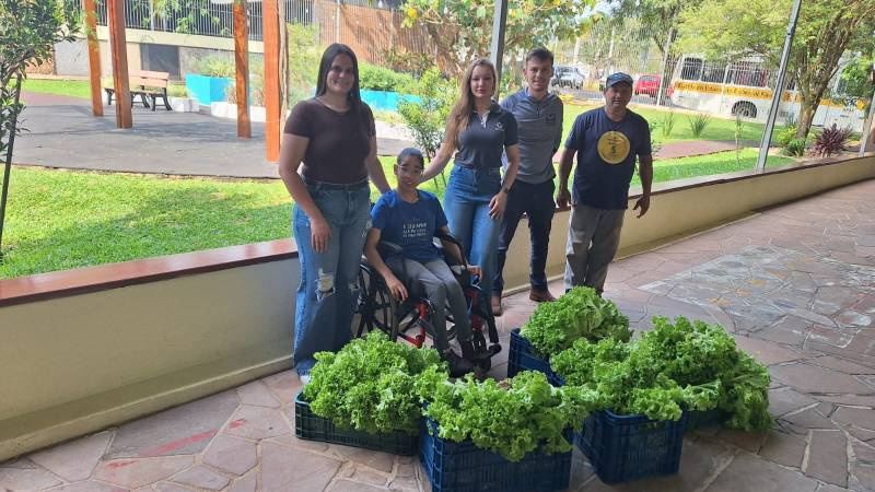 Curso de Agronomia da Uri produz hortaliças em estufa e compartilha com a comunidade