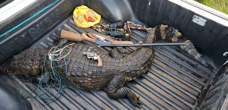 Homem é preso por caça de animal silvestre