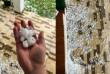 Granizo é registrado na manhã deste domingo em Catuípe