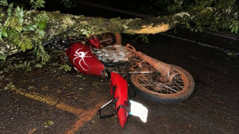 Motociclista sem habilitação colide contra árvore caída na ERS-342, em Catuípe; dois ficam feridos