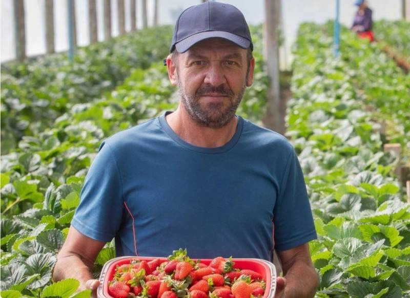 Ministério Público denuncia sete policiais militares por morte de agricultor em Pelotas