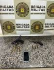 Brigada Militar de Santo Ângelo realiza prisão por porte irregular de arma de fogo