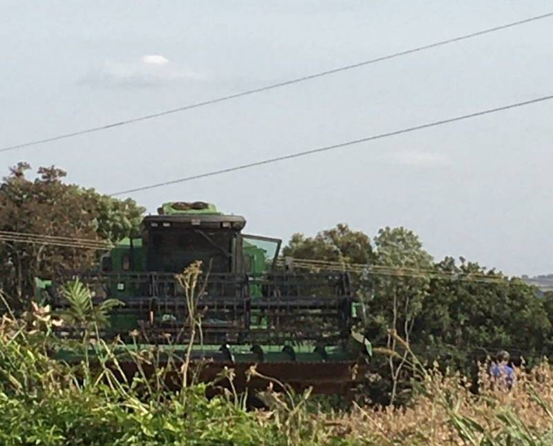 Agricultor sofre descarga elétrica enquanto colhia no Noroeste do RS