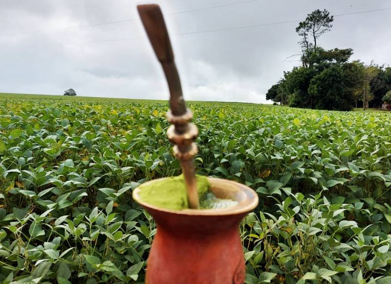 Domingo terá sol e nuvens no RS