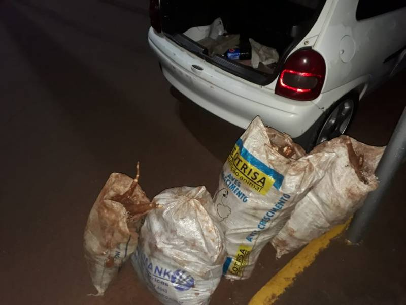BM  de Catuípe prende por furto e descumprimento de regras da prisão domiciliar