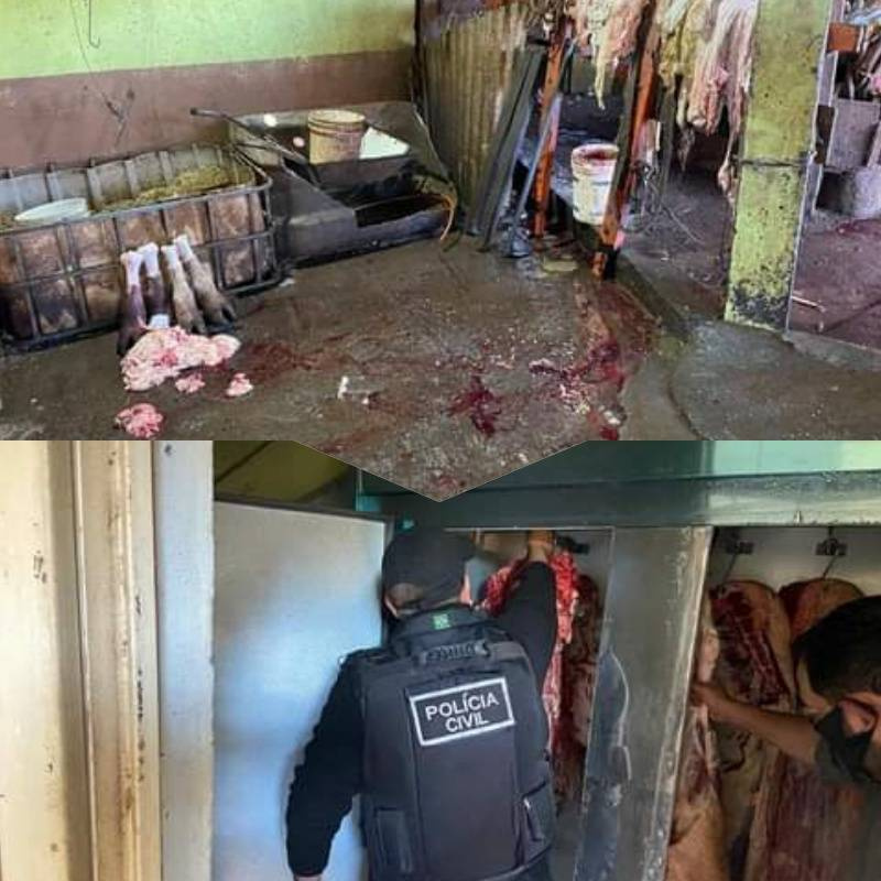 Policia Civil realiza