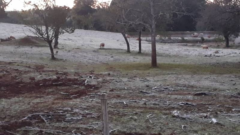 RS terá terça-feira gelada com mínimas negativas