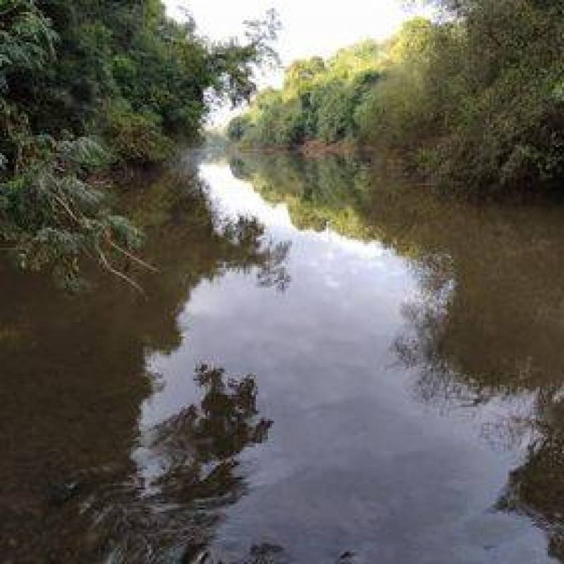 Menina morre afogada e outras duas pessoas estão desaparecidas em Santo Expedito do Su