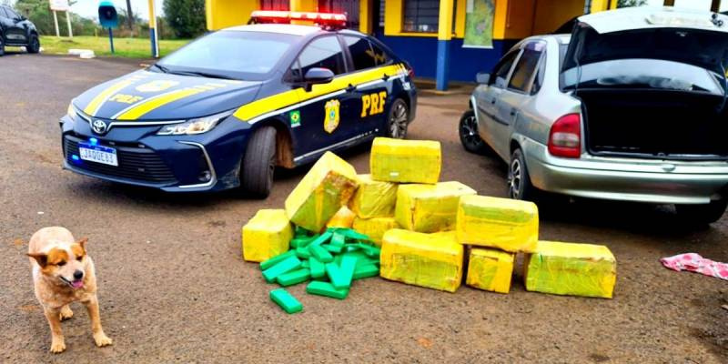 PRF intercepta carregamento com quase 250 quilos de maconha na BR 285, em Bom Jesus