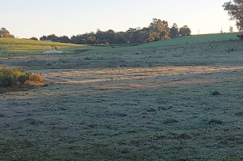 Frio aumenta e terça-feira terá temperaturas abaixo de zero no RS
