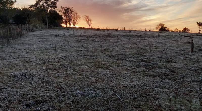 Frio provoca geada no RS e temperatura negativa em Canela