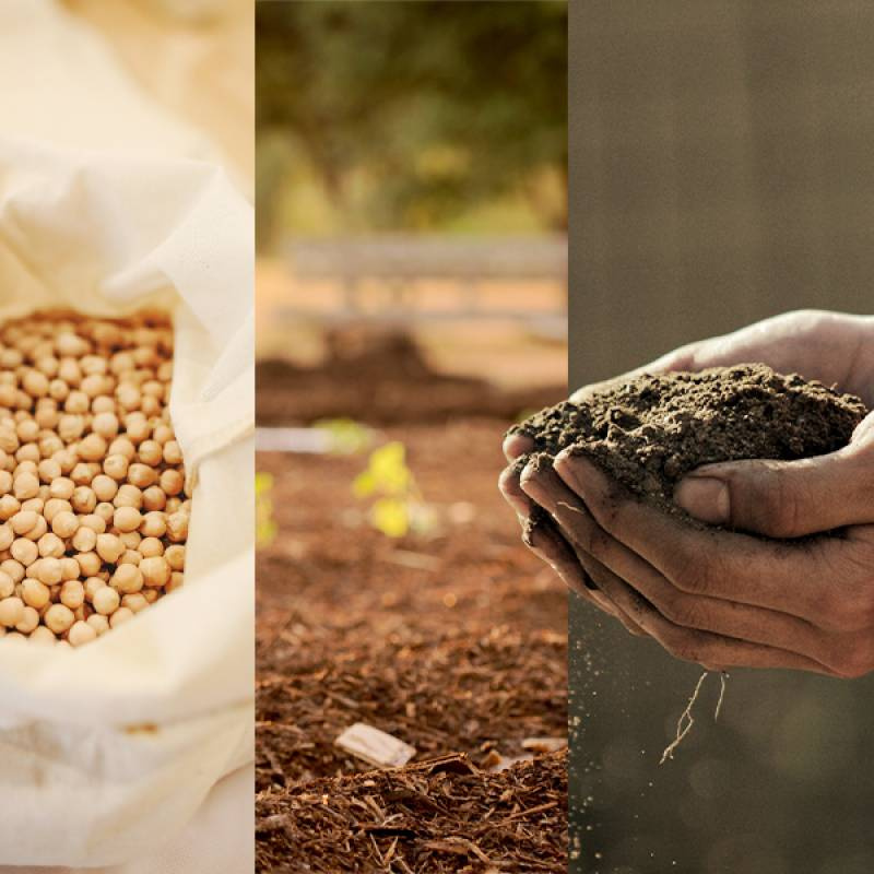 URI inscreve até 4 de agosto para Pós-graduação em Cultura da Soja