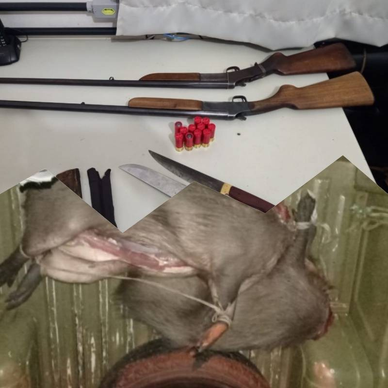 Quatro homens são presos pela BM com armas e capivaras abatidas em Jóia